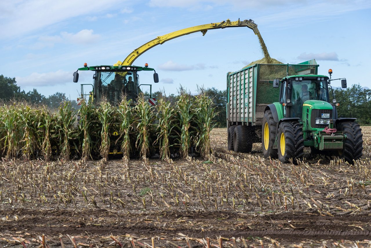 Bild 170 - Maisernte